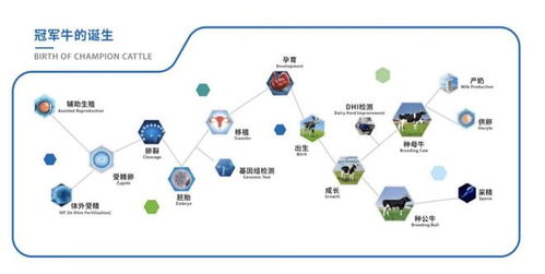 育種科技結碩果 優(yōu)然牧業(yè)賽科星聯(lián)合主辦家畜生物育種與胚胎工程技術國際學術研討會