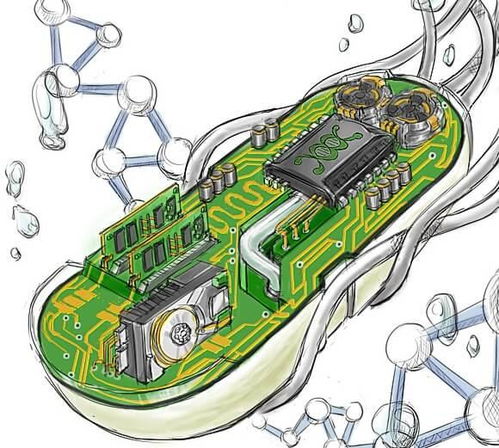 science 用人工蛋白質做邏輯門電路,把細胞變成計算機