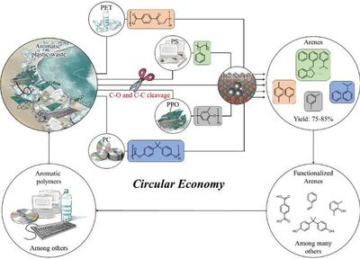華東理工大學(xué)王艷芹教授課題組Angew:循環(huán)經(jīng)濟(jì):廢舊塑料催化轉(zhuǎn)化領(lǐng)域最新進(jìn)展